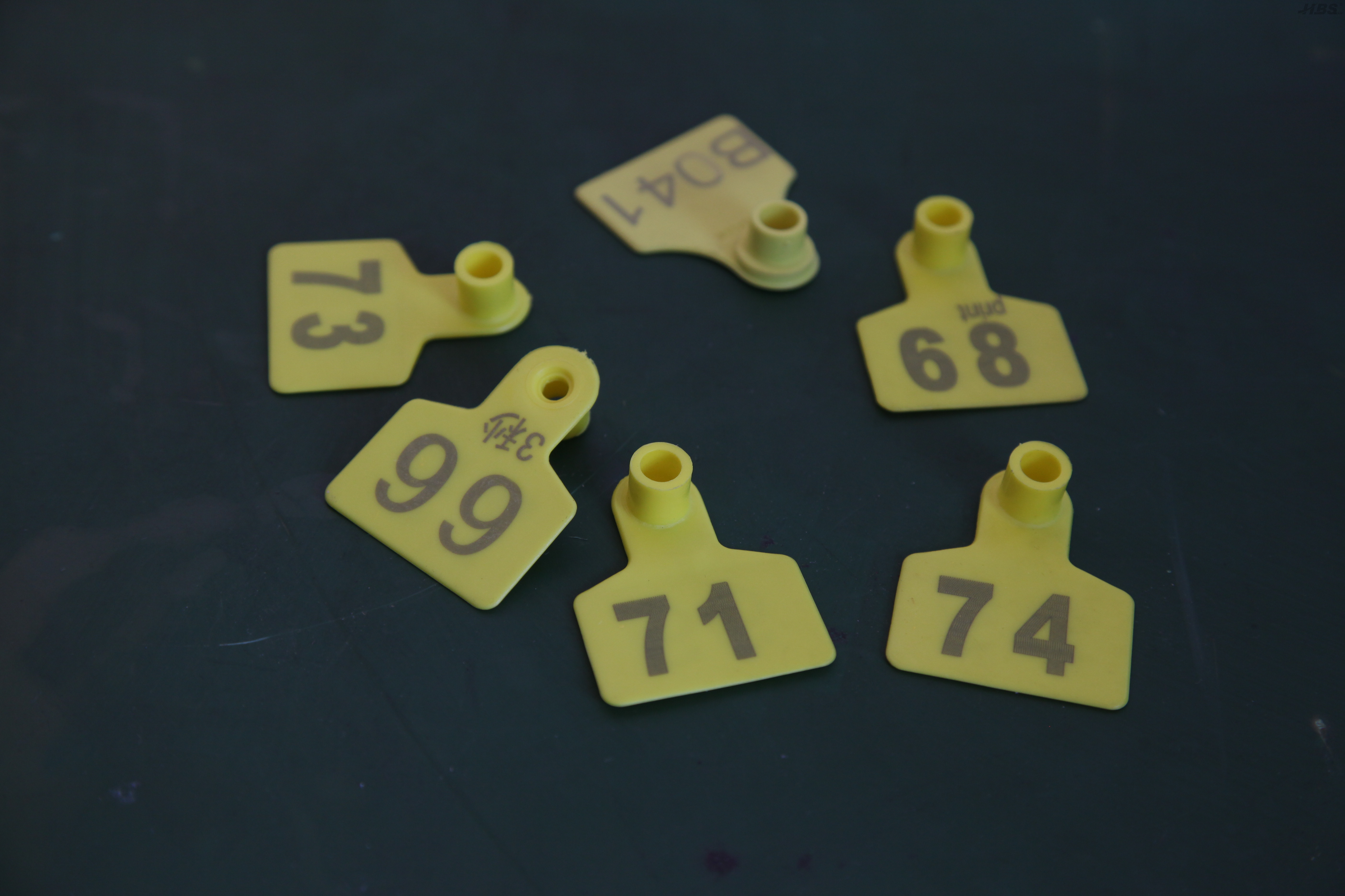 Syst&egrave;me laser laser 